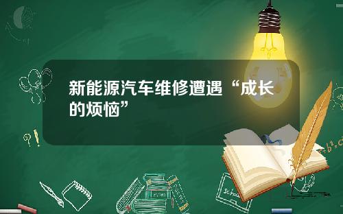 新能源汽车维修遭遇“成长的烦恼”