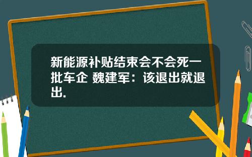新能源补贴结束会不会死一批车企 魏建军：该退出就退出.