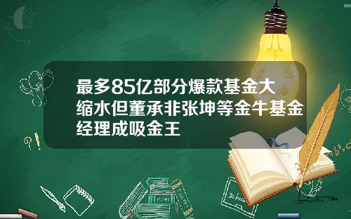 最多85亿部分爆款基金大缩水但董承非张坤等金牛基金经理成吸金王