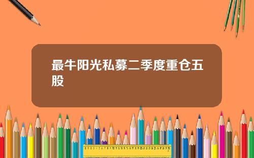 最牛阳光私募二季度重仓五股