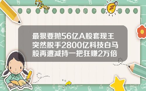 最狠要抛56亿A股套现王突然脱手2800亿科技白马股再遭减持一把狂赚2万倍