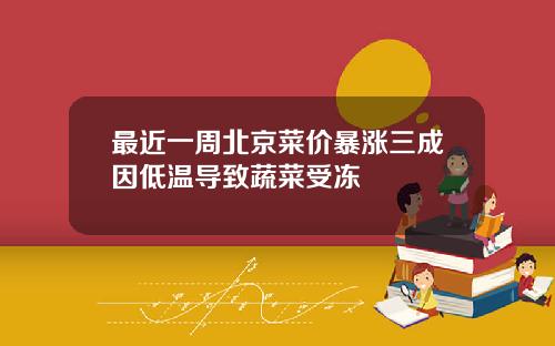 最近一周北京菜价暴涨三成因低温导致蔬菜受冻