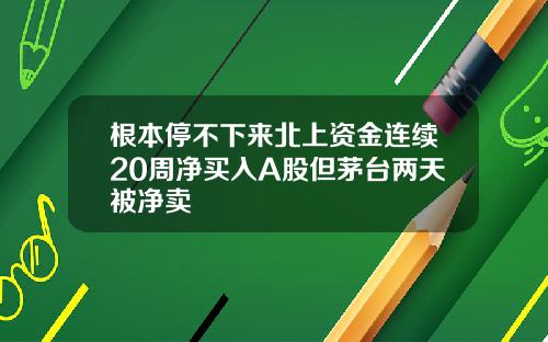 根本停不下来北上资金连续20周净买入A股但茅台两天被净卖