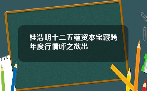 桂浩明十二五蕴资本宝藏跨年度行情呼之欲出