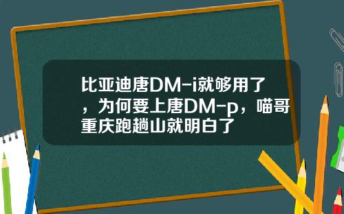比亚迪唐DM-i就够用了，为何要上唐DM-p，喵哥重庆跑趟山就明白了