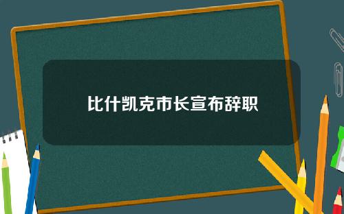 比什凯克市长宣布辞职