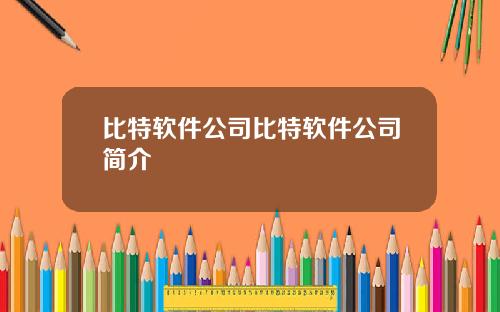比特软件公司比特软件公司简介