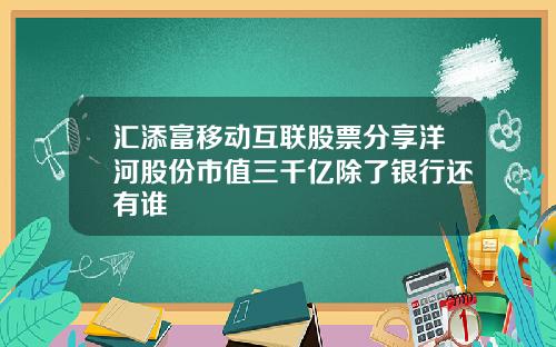 汇添富移动互联股票分享洋河股份市值三千亿除了银行还有谁