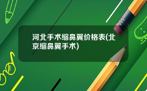 河北手术缩鼻翼价格表(北京缩鼻翼手术)