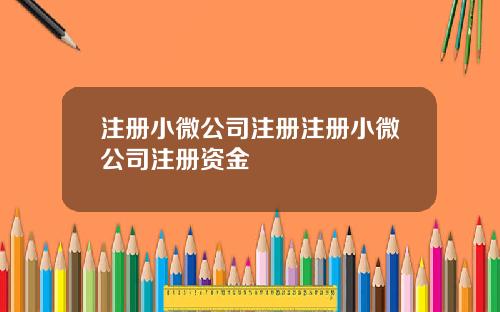 注册小微公司注册注册小微公司注册资金