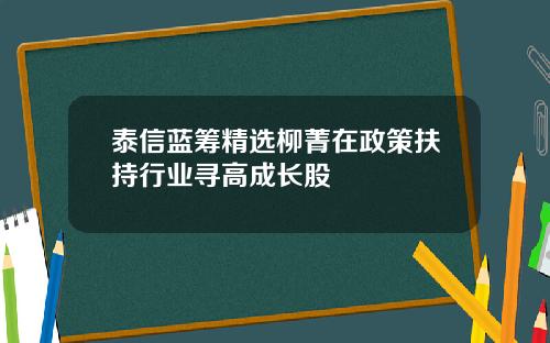 泰信蓝筹精选柳菁在政策扶持行业寻高成长股
