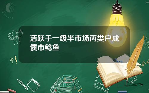 活跃于一级半市场丙类户成债市鲶鱼