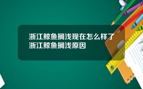 浙江鲸鱼搁浅现在怎么样了浙江鲸鱼搁浅原因
