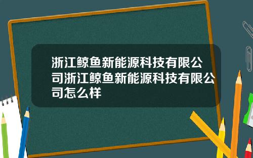 浙江鲸鱼新能源科技有限公司浙江鲸鱼新能源科技有限公司怎么样