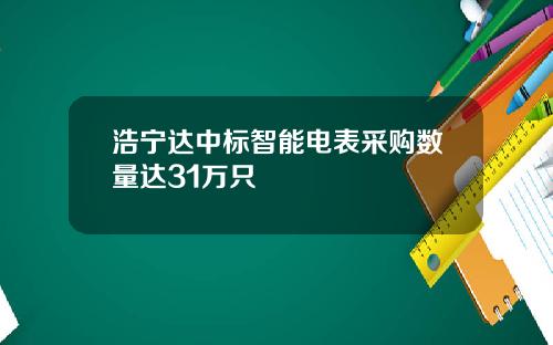 浩宁达中标智能电表采购数量达31万只
