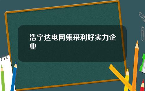 浩宁达电网集采利好实力企业