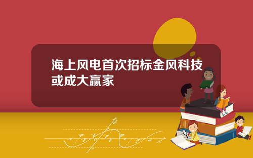 海上风电首次招标金风科技或成大赢家