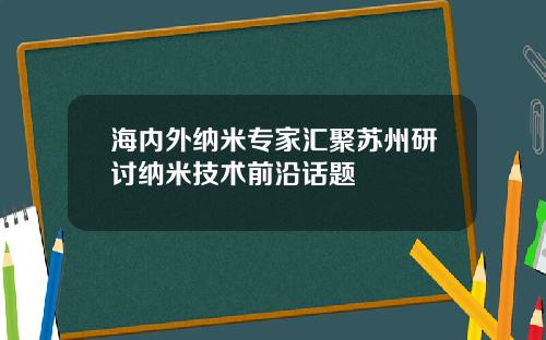 海内外纳米专家汇聚苏州研讨纳米技术前沿话题