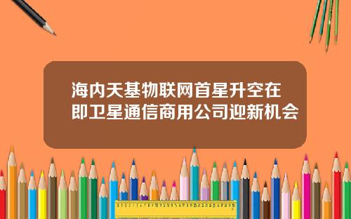 海内天基物联网首星升空在即卫星通信商用公司迎新机会