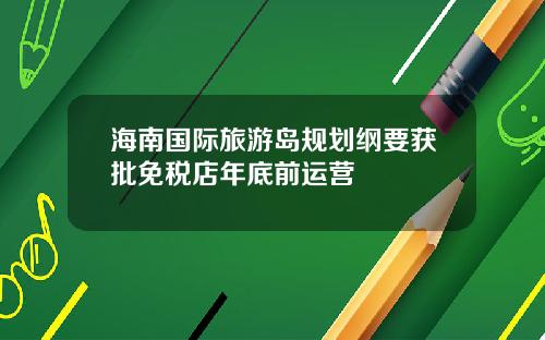 海南国际旅游岛规划纲要获批免税店年底前运营