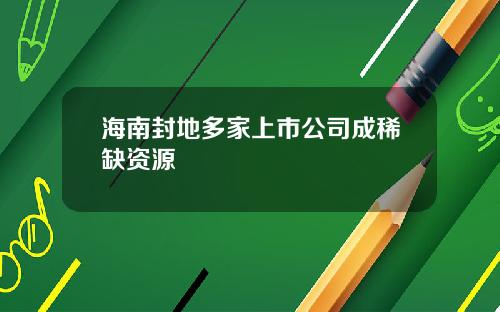 海南封地多家上市公司成稀缺资源