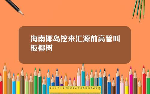 海南椰岛挖来汇源前高管叫板椰树