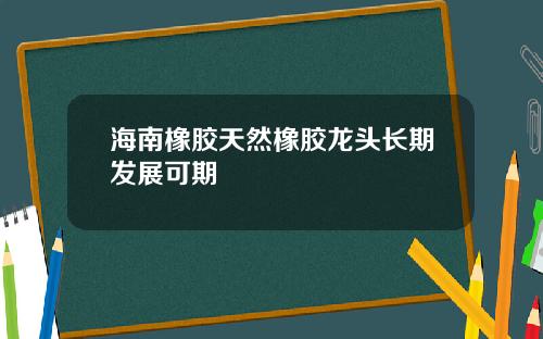 海南橡胶天然橡胶龙头长期发展可期