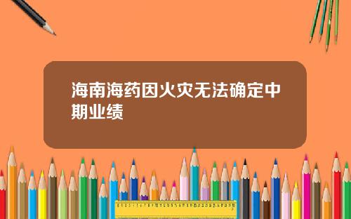 海南海药因火灾无法确定中期业绩