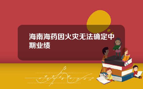 海南海药因火灾无法确定中期业绩