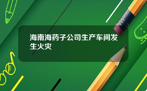 海南海药子公司生产车间发生火灾
