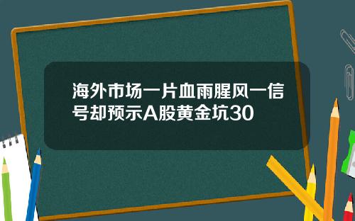 海外市场一片血雨腥风一信号却预示A股黄金坑30