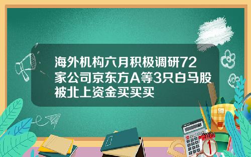海外机构六月积极调研72家公司京东方A等3只白马股被北上资金买买买