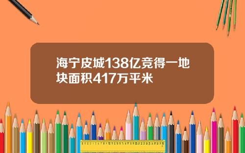海宁皮城138亿竞得一地块面积417万平米