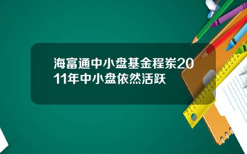 海富通中小盘基金程岽2011年中小盘依然活跃