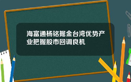 海富通杨铭掘金台湾优势产业把握股市回调良机