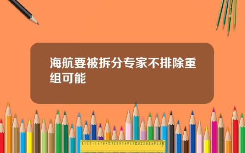 海航要被拆分专家不排除重组可能