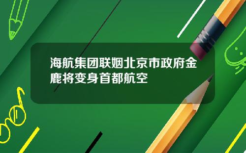 海航集团联姻北京市政府金鹿将变身首都航空