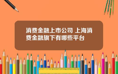 消费金融上市公司 上海消费金融旗下有哪些平台