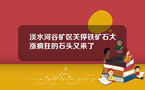 淡水河谷矿区关停铁矿石大涨疯狂的石头又来了
