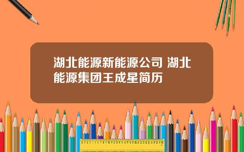 湖北能源新能源公司 湖北能源集团王成星简历