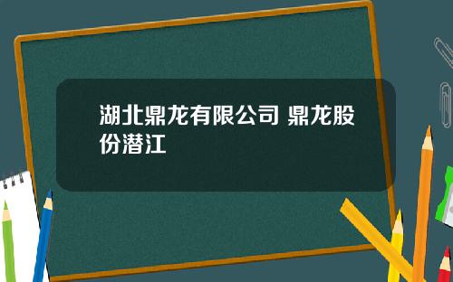 湖北鼎龙有限公司 鼎龙股份潜江