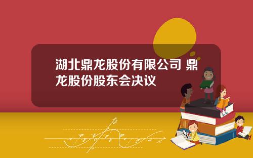 湖北鼎龙股份有限公司 鼎龙股份股东会决议
