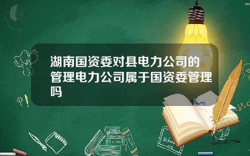 湖南国资委对县电力公司的管理电力公司属于国资委管理吗