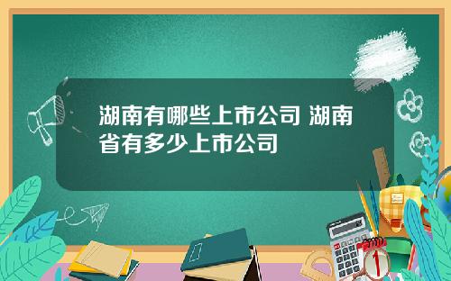 湖南有哪些上市公司 湖南省有多少上市公司