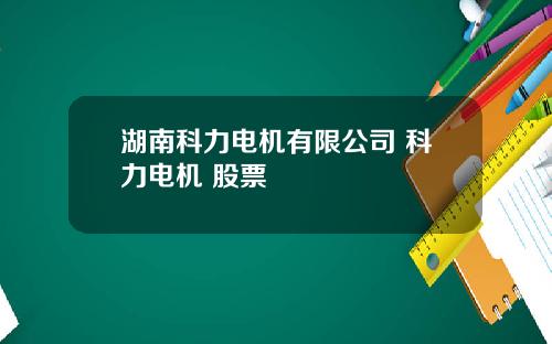 湖南科力电机有限公司 科力电机 股票
