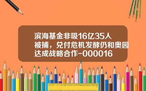 滨海基金非吸16亿35人被捕，兑付危机发酵仍和奥园达成战略合作-000016基金