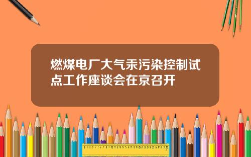 燃煤电厂大气汞污染控制试点工作座谈会在京召开