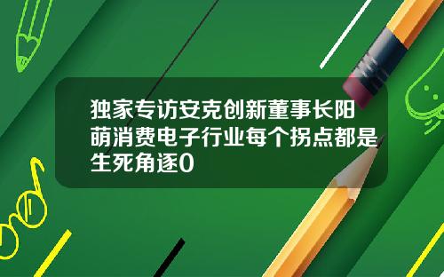 独家专访安克创新董事长阳萌消费电子行业每个拐点都是生死角逐0