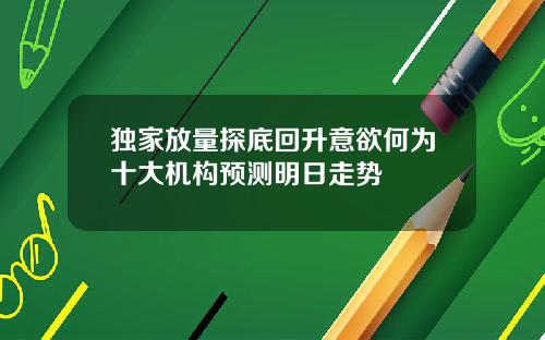 独家放量探底回升意欲何为十大机构预测明日走势