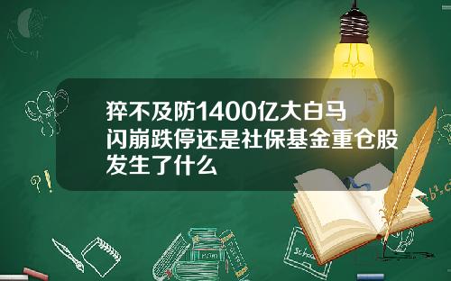 猝不及防1400亿大白马闪崩跌停还是社保基金重仓股发生了什么